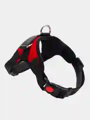 Фиолетовый шлейка прогулочная для животных