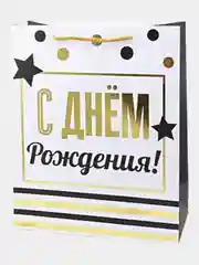 Пурпурный пакет подарочный "С Днём Рождения", "Давай зажигай" Единорог, Кошка, Динозавры 26*12*32 см