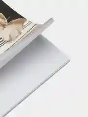 Блокнот-Скетчбук для рисования эскизов, белая бумага 100 г/м2, 140х201 мм Brauberg, 115062