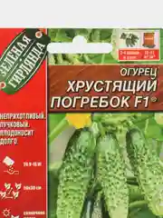 Огурец Хрустящий погребок