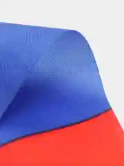 Гирлянда из флагов России, 5 м, 10 треугольных флажков 20х30 см, Brauberg/staff, 550186