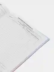 Голубой школьный дневник, Аниме