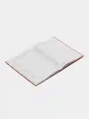 Оранжевый школьный дневник, Аниме