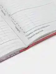 Оранжевый школьный дневник, Аниме