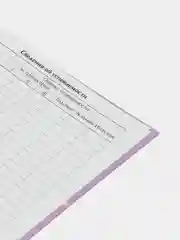 Сиреневый школьный дневник, Аниме
