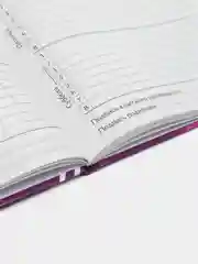 Аметистовый школьный дневник, Аниме