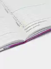 Фиолетовый школьный дневник, Аниме