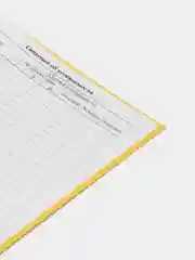 Желтый школьный дневник, Аниме