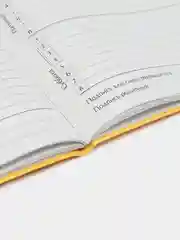 Желтый школьный дневник, Аниме