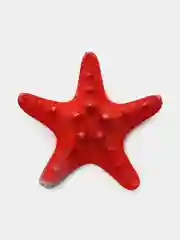 Красный ракушки натуральные морские и океанические, грунт, наполнитель, декор для аквариума