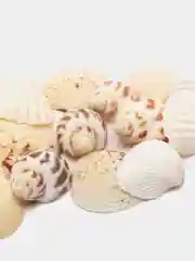Красный ракушки натуральные морские и океанические, грунт, наполнитель, декор для аквариума