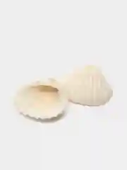 Красный ракушки натуральные морские и океанические, грунт, наполнитель, декор для аквариума