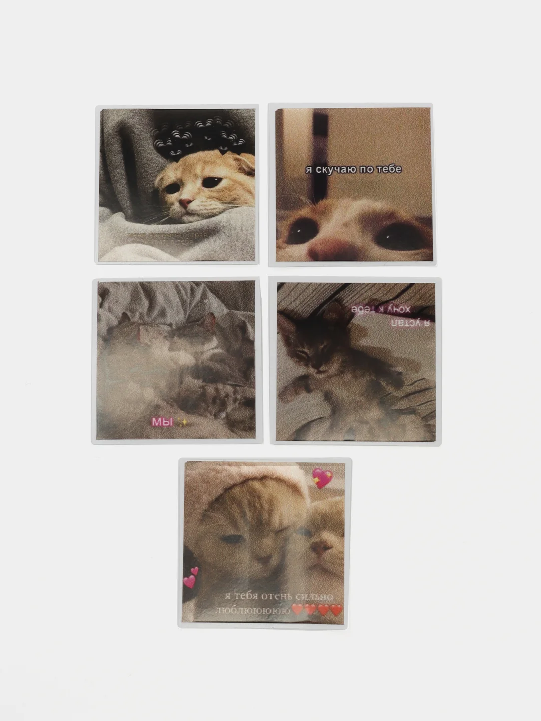 Золотистый хаки наклейки-стикеры "Котики, коты"