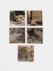Золотистый хаки наклейки-стикеры "Котики, коты"