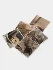 Золотистый хаки наклейки-стикеры "Котики, коты"