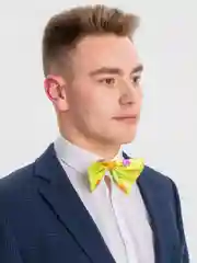 Галстук-бабочка, желтый, в горошек, 14 х 10 см