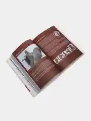 История России для детей