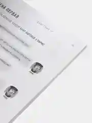 Ромео и Джульетта, с иллюстрациями и комментариями, Шекспир У