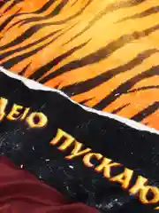 Оранжевый лежанка для кошек