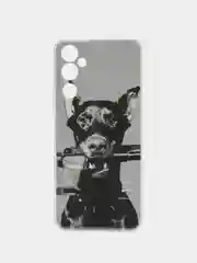 Серый чехол на Tecno Pova Neo 2 / Текно Пова Нео 2 прозрачный, с рисунком, защита камеры