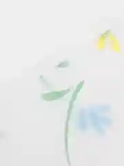 Зеленый чехол для хранения ковров