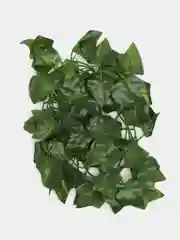 Желтый лиана искусственная, плющ декоративный