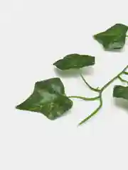 Желтый лиана искусственная, плющ декоративный