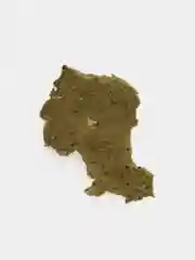 Растительный корм для рыб Sera Flora Nature, на развес
