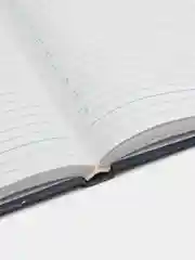 Ежедневник-планер (планинг), записная книжка, блокнот недатированный А5, 113526