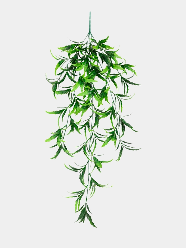 Полисциас кустарниковый, искусственные цветы