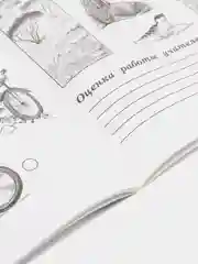 Окружающий мир, проверочные работы, 1 класс, школа России, А. А. Плешаков