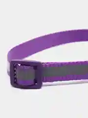 Фиолетовый ошейник для кошек и собак с колокольчиком, светоотражающий