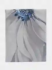 Постельное белье 1,5 сп / 2 спальное / евро / семейное Поплин ivSubelIa "Лея", 70x70