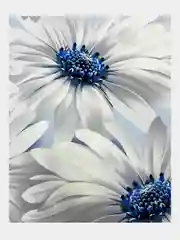 Постельное белье 1,5 сп / 2 спальное / евро / семейное Поплин ivSubelIa "Лея", 70x70