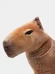 Коричневый подарочный набор Капибара (кружка+подушка)