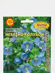 Полемониум (синюха) Небесно-голубой, семена, цветы