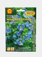 Полемониум (синюха) Небесно-голубой, семена, цветы