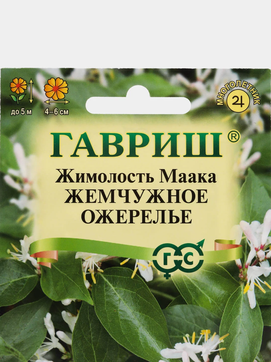 Жимолость Маака Жемчужное ожерелье, семена, цветы