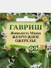 Жимолость Маака Жемчужное ожерелье, семена, цветы