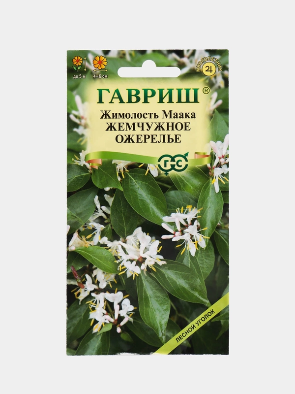 Жимолость Маака Жемчужное ожерелье, семена, цветы