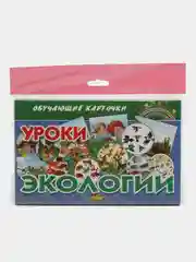 Уроки экологии. Обучающие карточки на картоне с познавательным текстом