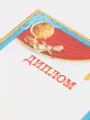 Диплом 10 штук