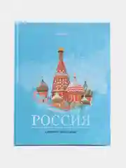 Дневник школьный, для 1-11 классов, для мальчика, девочки, 40 листов, твердый, 106384