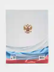 Дневник школьный для 1-11 классов для мальчика, девочки 40 листов твердый, 106052