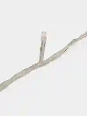 Синий светодиодная новогодняя гирлянда нить, 10м 100 LED лампочек и 8 режимов