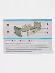 Кровать-качалка, 2 в 1, люлька для кукол до 30 сантиметров, КубиГрад