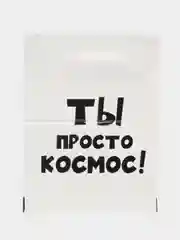 Подарочные пакеты с прикольными надписями, в наборе 3 шт