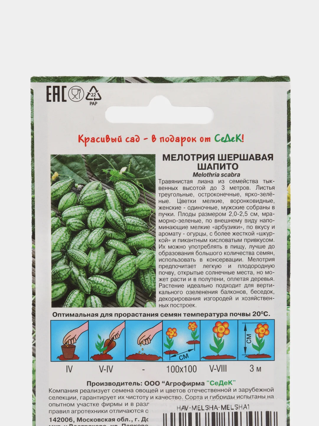 Семена "Мелотрия шапито", 0,05 г