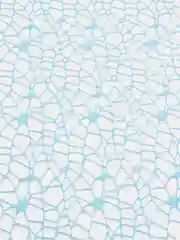 Ледяной флористическая сетка Крошет