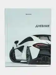 Дневник школьный для старших классов для мальчика 48 листов твердый, 106634